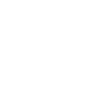 Increase washing speed icon